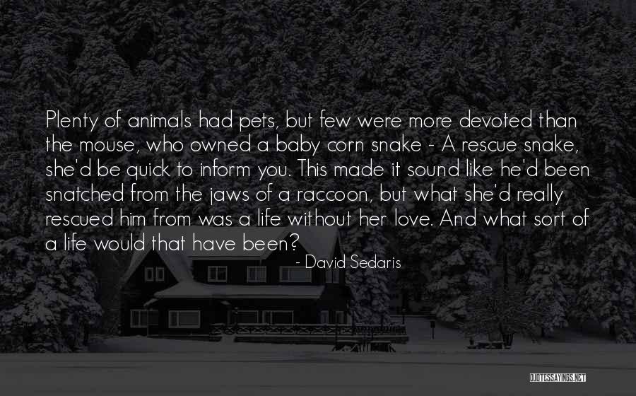 Love Of Pets Quotes By David Sedaris Love Of Pets Quotes By David Sedaris