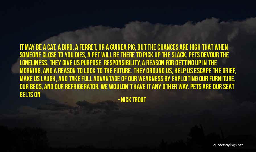 Love Of Pets Quotes By Nick Trout