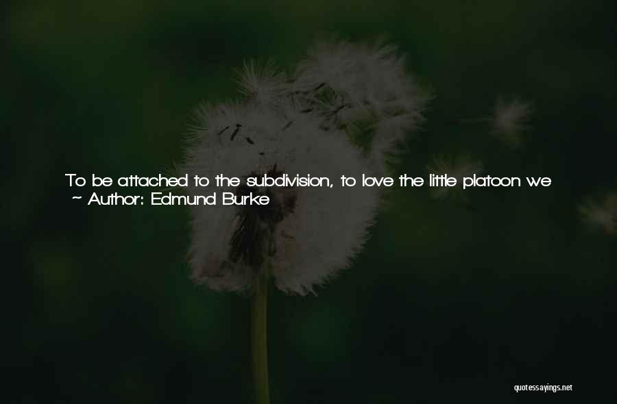 Love Of The Country Quotes By Edmund Burke