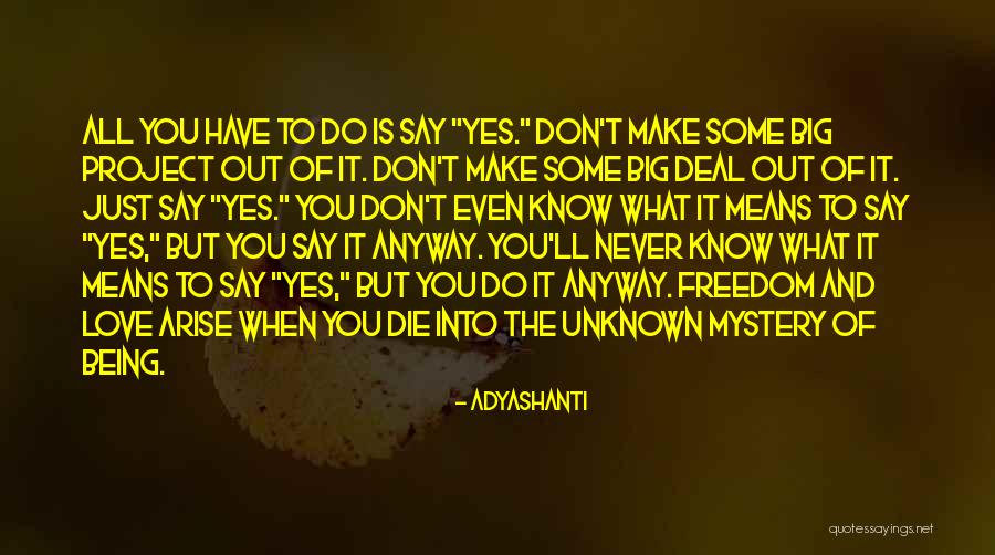 Love Of The Unknown Quotes By Adyashanti Love Of The Unknown Quotes By Adyashanti
