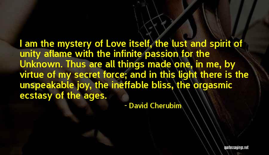 Love Of The Unknown Quotes By David Cherubim Love Of The Unknown Quotes By David Cherubim