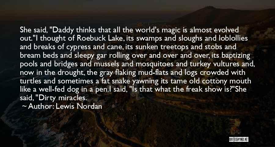 Love Old Dog Quotes By Lewis Nordan