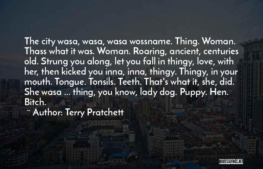 Love Old Dog Quotes By Terry Pratchett