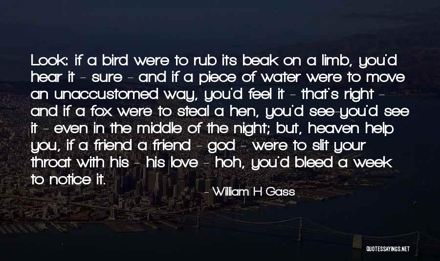 Love On God Quotes By William H Gass