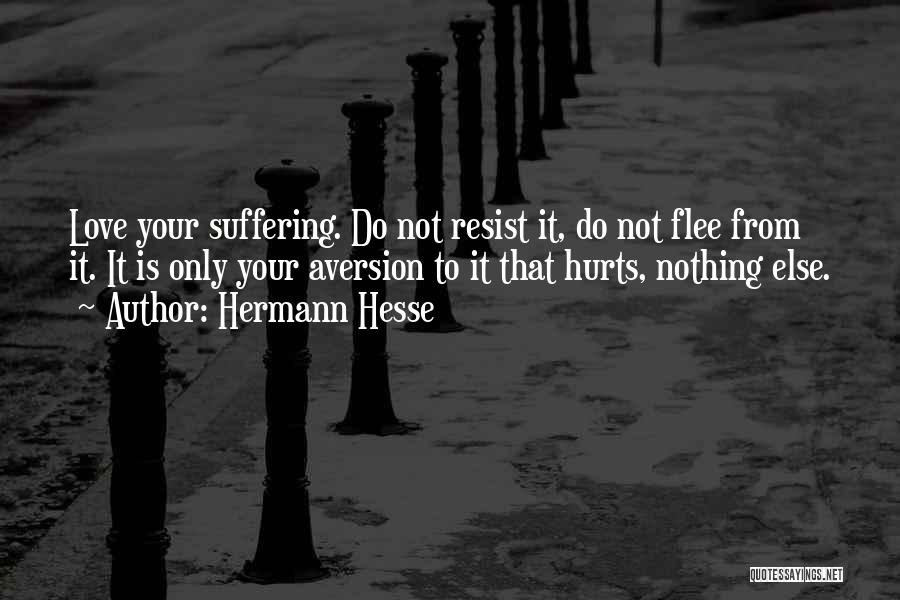 Love Only Hurts Quotes By Hermann Hesse