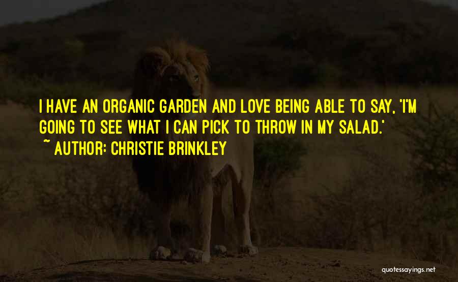 Love Organic Quotes By Christie Brinkley