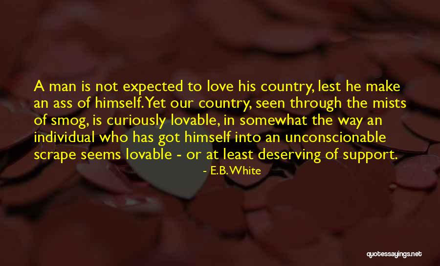 Love Our Country Quotes By E.B. White Love Our Country Quotes By E.B. White