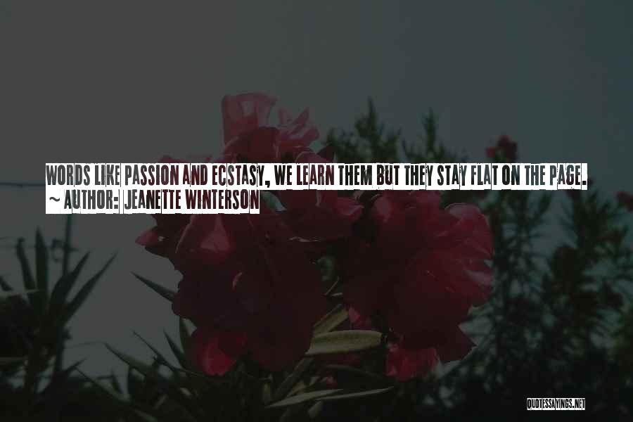 Love Over War Quotes By Jeanette Winterson