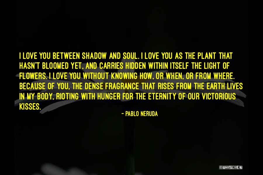 Love Pablo Neruda Quotes By Pablo Neruda