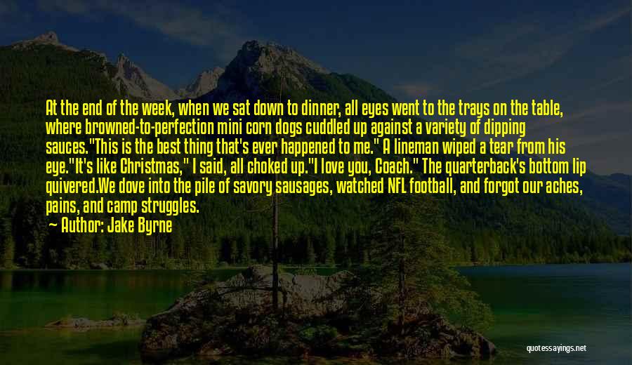 Love Pains Quotes By Jake Byrne