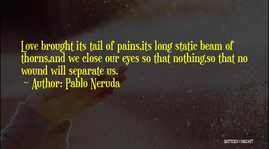 Love Pains Quotes By Pablo Neruda