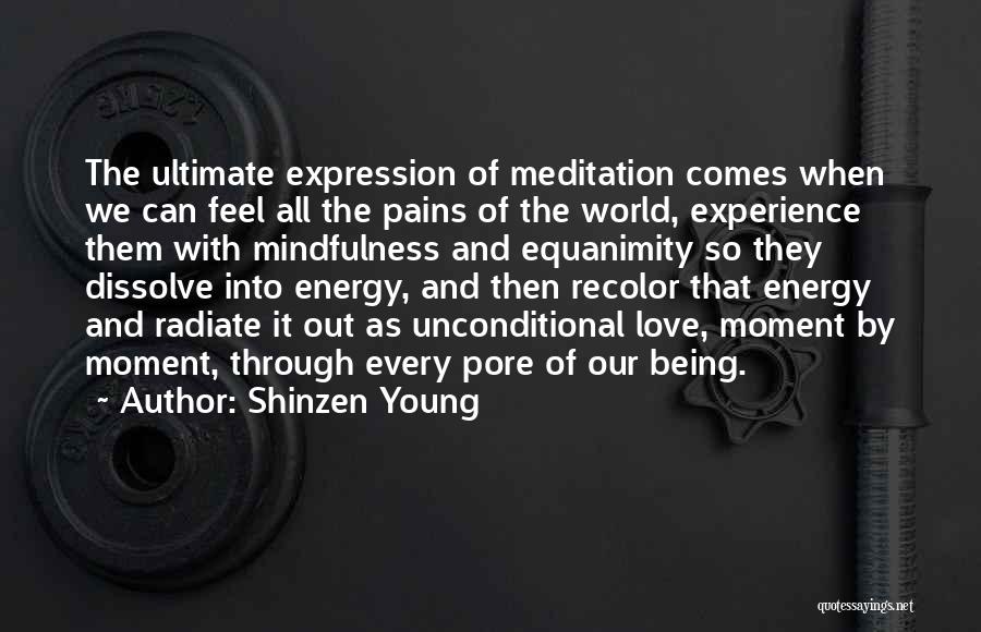 Love Pains Quotes By Shinzen Young