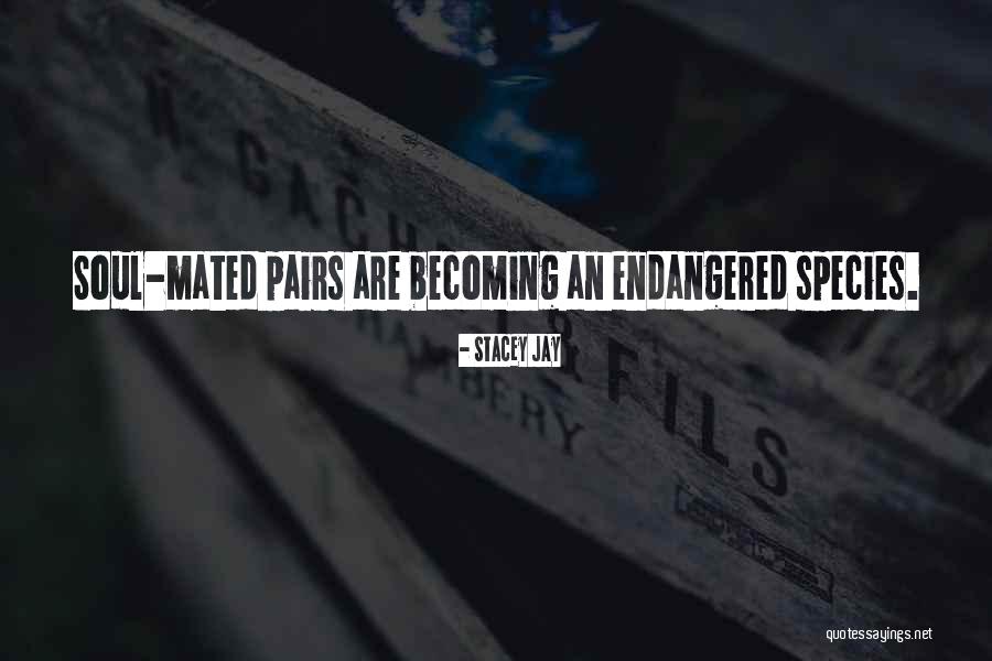 Love Pairs Quotes By Stacey Jay Love Pairs Quotes By Stacey Jay