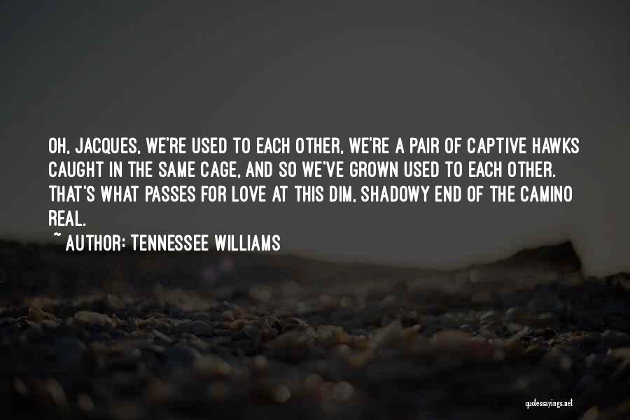 Love Passes Quotes By Tennessee Williams