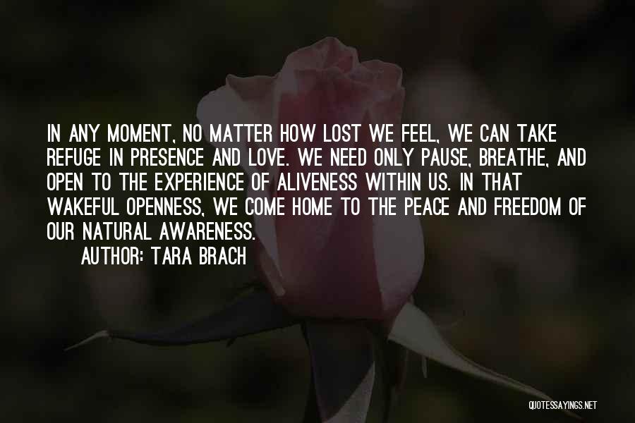 Love Peace Freedom Quotes By Tara Brach