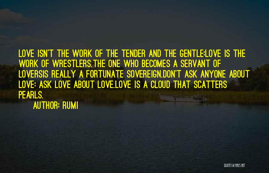 Love Pearls Quotes By Rumi
