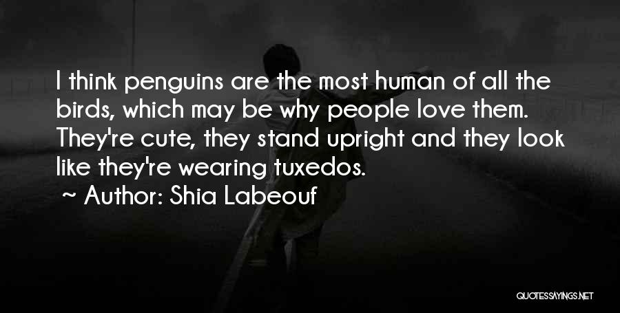 Love Penguins Quotes By Shia Labeouf
