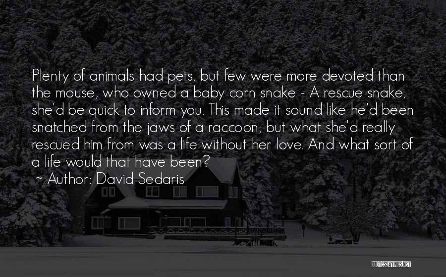 Love Pets Quotes By David Sedaris