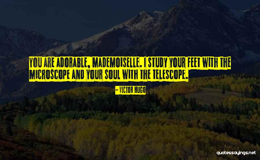 Love Pick Up Quotes By Victor Hugo Love Pick Up Quotes By Victor Hugo