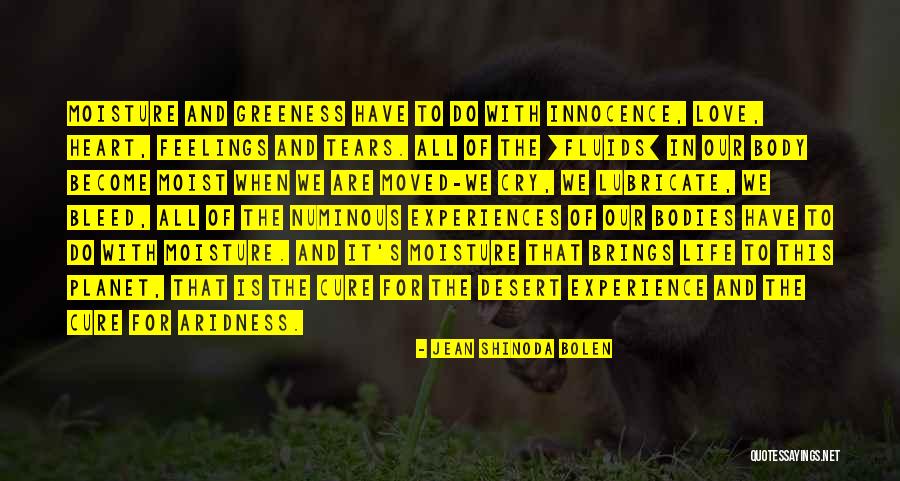 Love Planet Quotes By Jean Shinoda Bolen