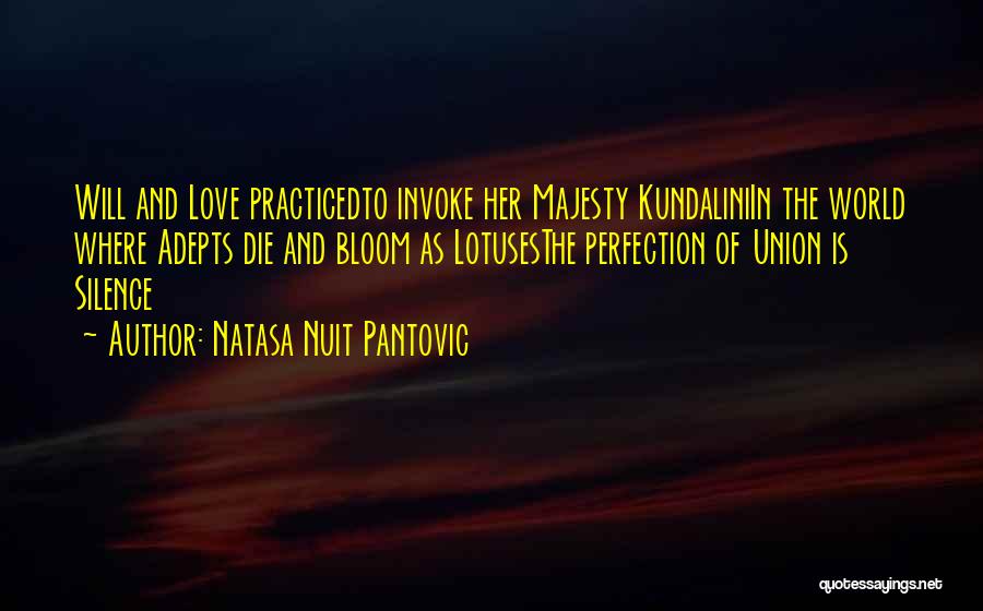 Love Poem Quotes By Natasa Nuit Pantovic