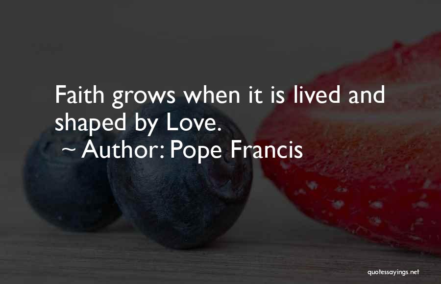 Love Pope Francis Quotes By Pope Francis