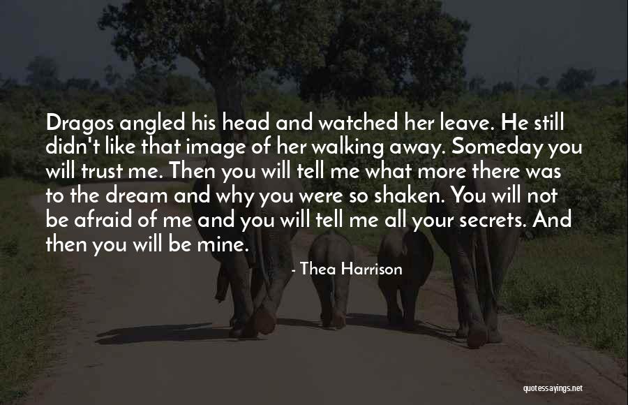Love Possessive Quotes By Thea Harrison Love Possessive Quotes By Thea Harrison
