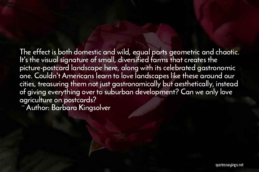 Love Postcards Quotes By Barbara Kingsolver