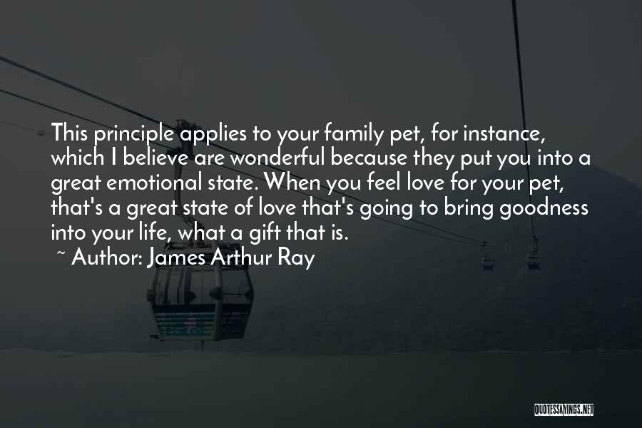 Love Principle Quotes By James Arthur Ray