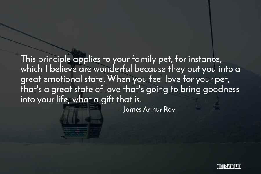 Love Principle Quotes By James Arthur Ray