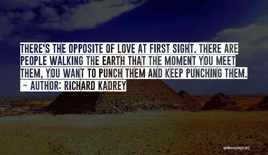 Love Punch Quotes By Richard Kadrey