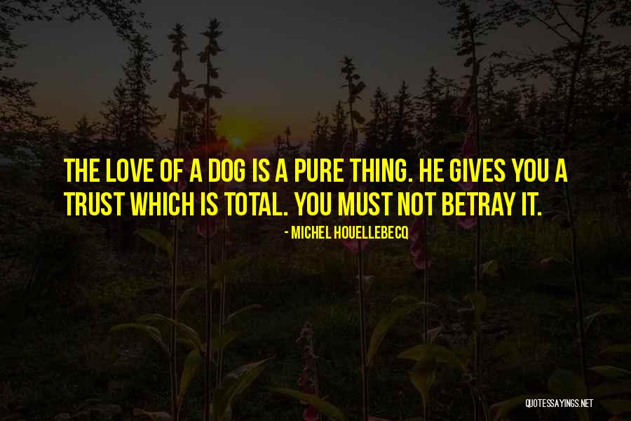 Love Pure Quotes By Michel Houellebecq Love Pure Quotes By Michel Houellebecq