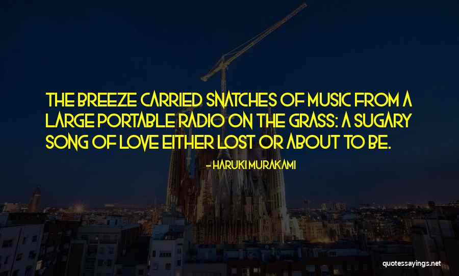 Love Radio Quotes By Haruki Murakami