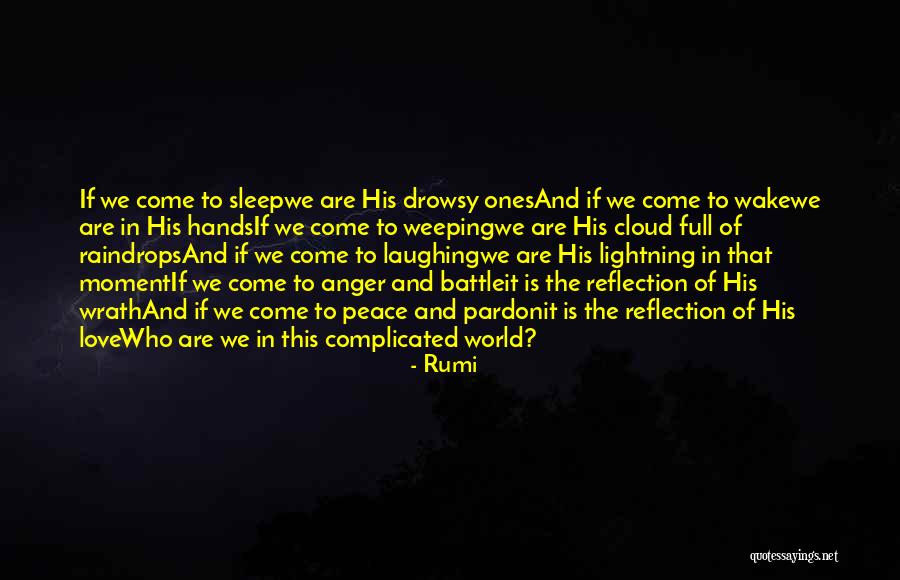 Love Raindrops Quotes By Rumi Love Raindrops Quotes By Rumi