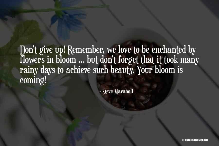 Love Rainy Days Quotes By Steve Maraboli