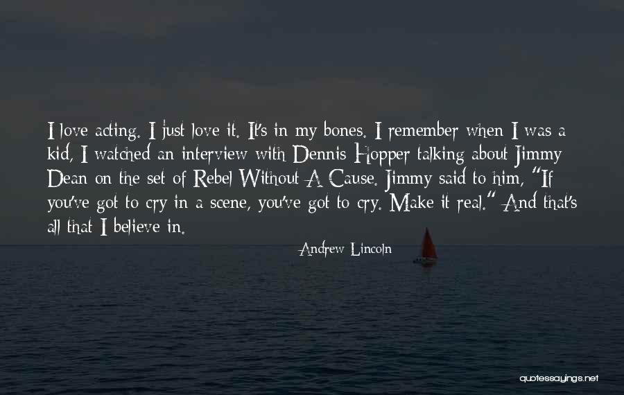 Love Rebel Quotes By Andrew Lincoln