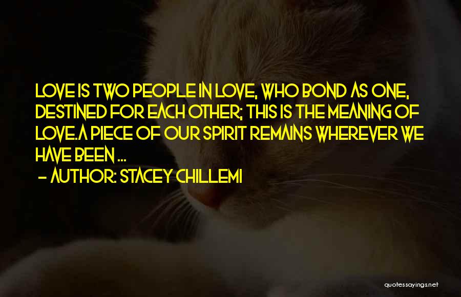 Love Remains Quotes By Stacey Chillemi