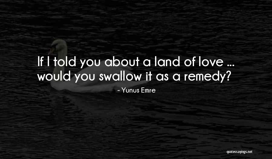 Love Remedy Quotes By Yunus Emre