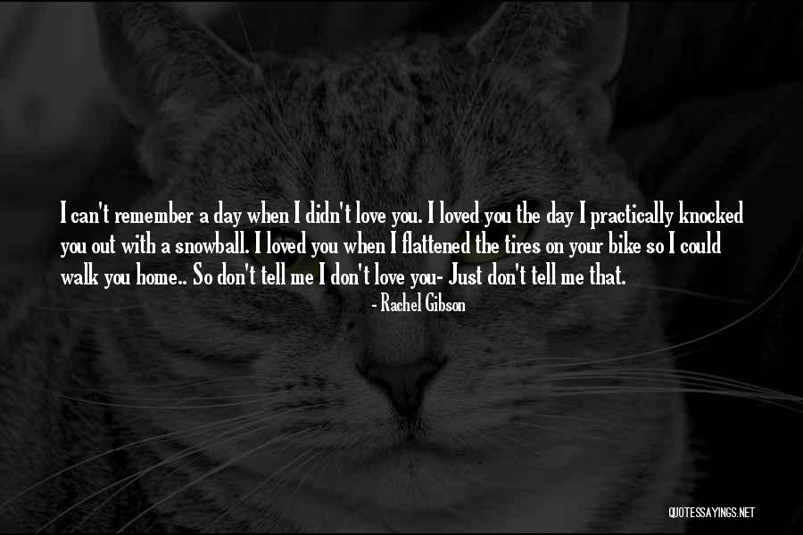 Love Remember When Quotes By Rachel Gibson Love Remember When Quotes By Rachel Gibson