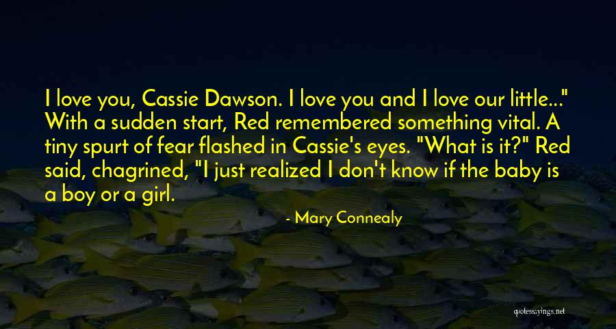 Love Remembered Quotes By Mary Connealy Love Remembered Quotes By Mary Connealy