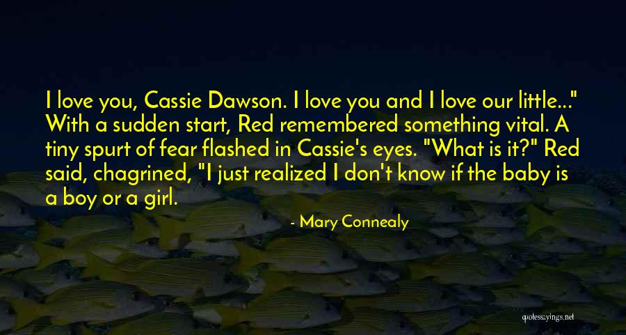 Love Remembered Quotes By Mary Connealy