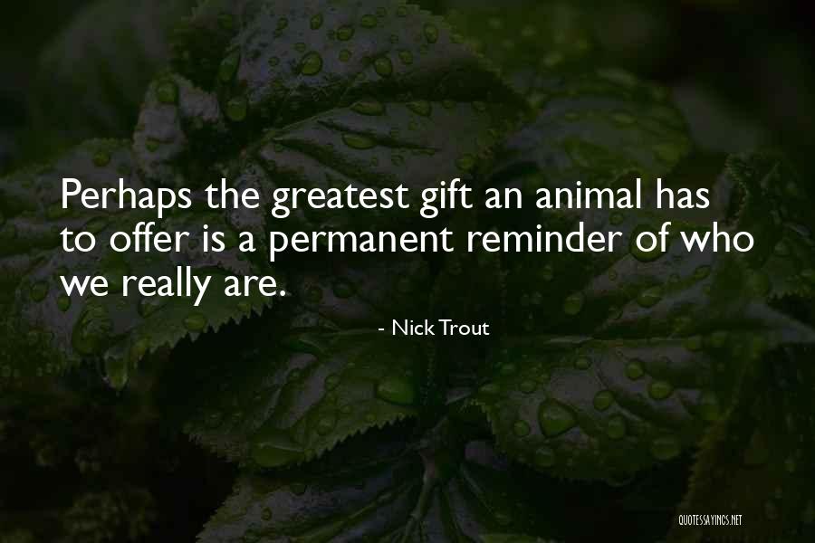 Love Reminder Quotes By Nick Trout