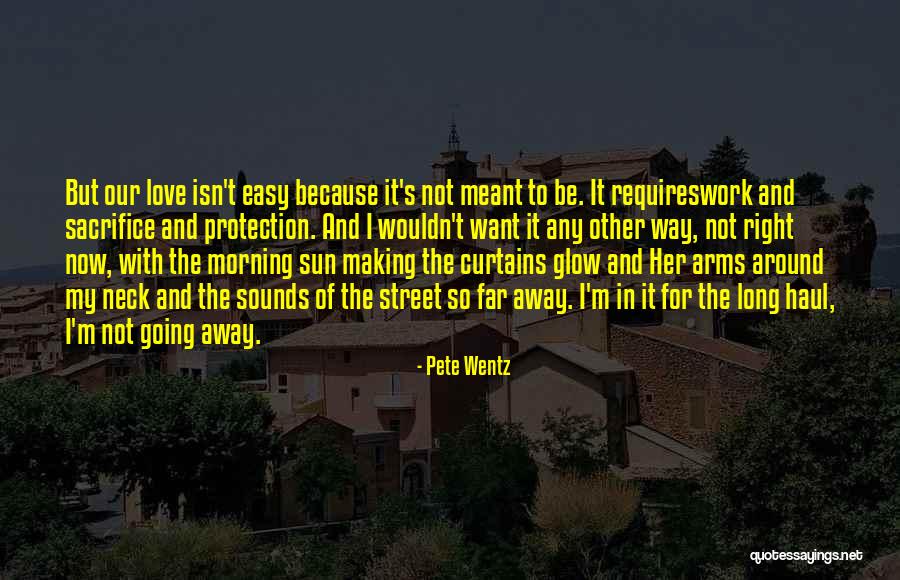 Love Requires Work Quotes By Pete Wentz Love Requires Work Quotes By Pete Wentz