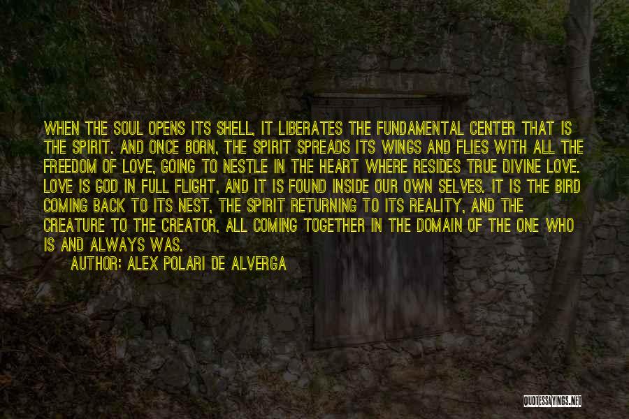Love Returning Quotes By Alex Polari De Alverga