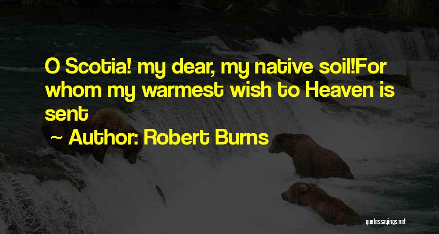 Love Robert Burns Quotes By Robert Burns