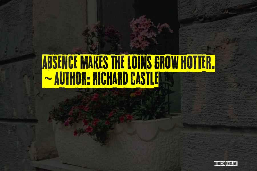 Love Romance Passion Quotes By Richard Castle