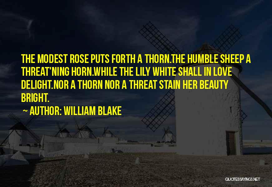 Love Rose Thorn Quotes By William Blake