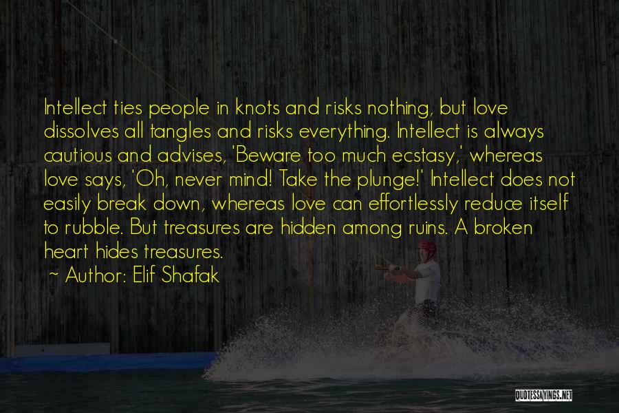 Love Ruins Everything Quotes By Elif Shafak