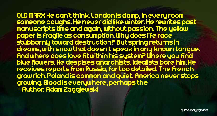 Love Russia Quotes By Adam Zagajewski