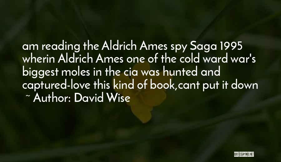 Love Saga Quotes By David Wise